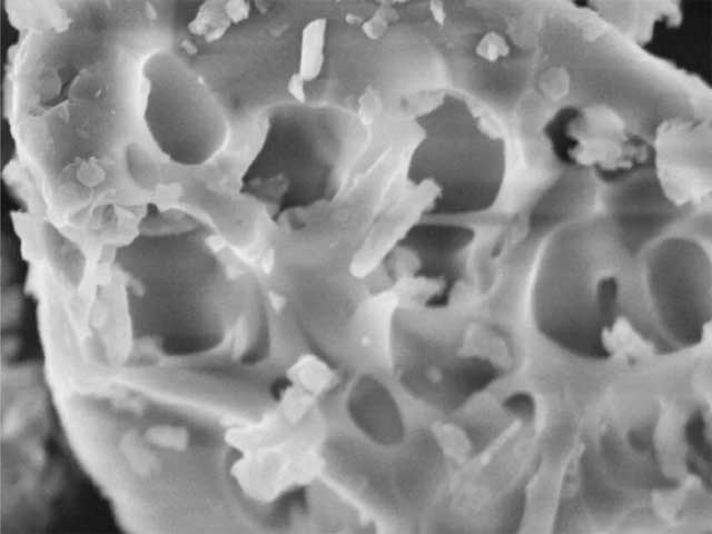 【37.5(tm)technology】の活性粒子を拡大。多孔質で表面積が広い粒子が汗の水分をしっかりと吸収します。