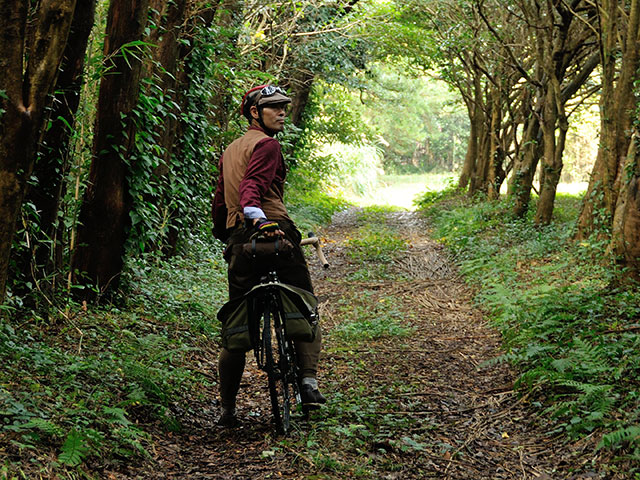 伊豆大島 ツーリングイメージ