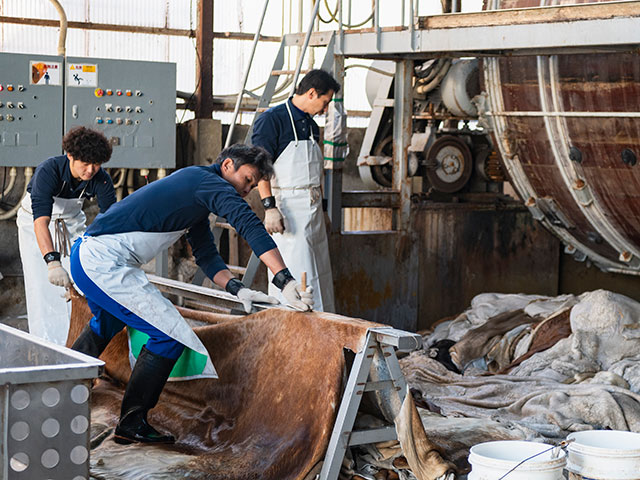 直営限定販売【TOCHIGI LEATHER SACOCHE】最高級 栃木レザー サコッシュ minca製 ショルダーバッグ 日本製 No.5157